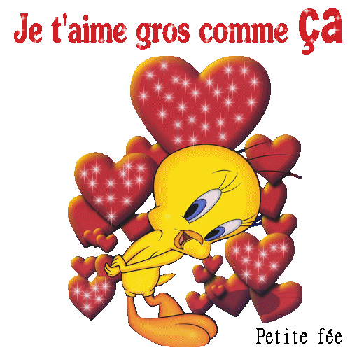 Titi amoureux !
