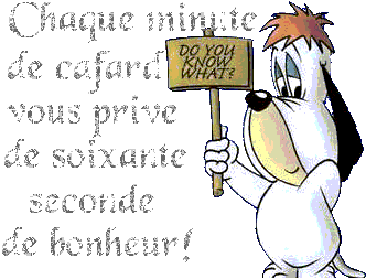 Dicton du jour