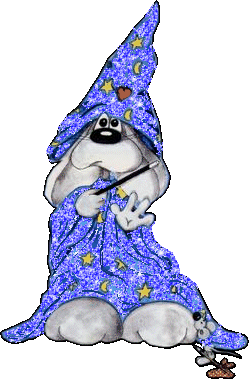 Diddl magicien