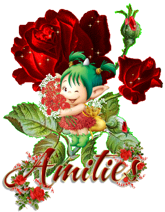 Mes amitiés
