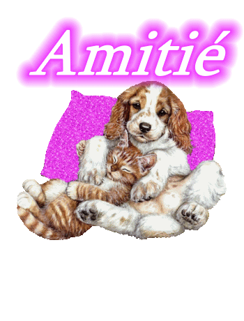 Amitiés