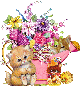 Quel joli bouquet