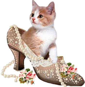 Trop mimi