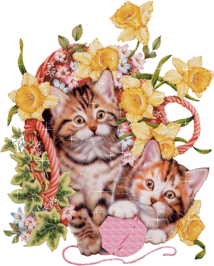 Mon bouquet d'amitié