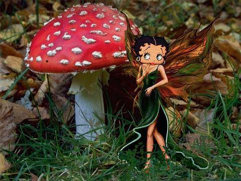 Fée des bois
