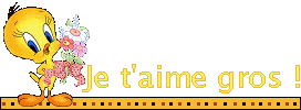 Je t'aime gros