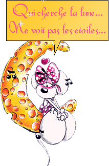 Dicton du jour