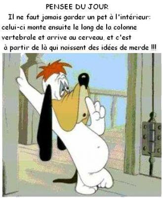Dicton du jour