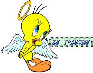 Ze t'adore !