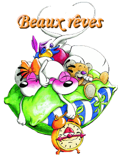 Dors bien , fais de beaux rêves !