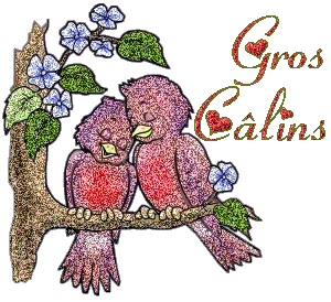 Gros câlin