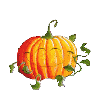 C'est halloween !