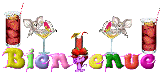 Bienvenue les amis