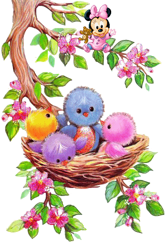 Oiseaux