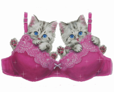 Coucou les amies !