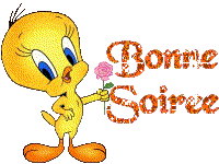 Bonne soirée !