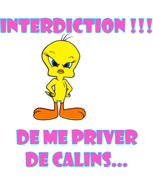 C'est compris ?