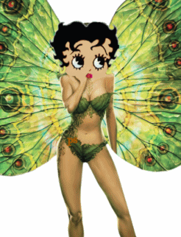Joli papillon !
